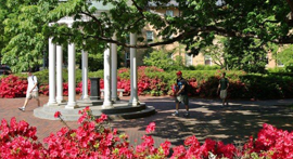 Top Entrepreneurial Programs