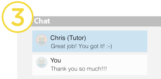 Chat with an expert tutor