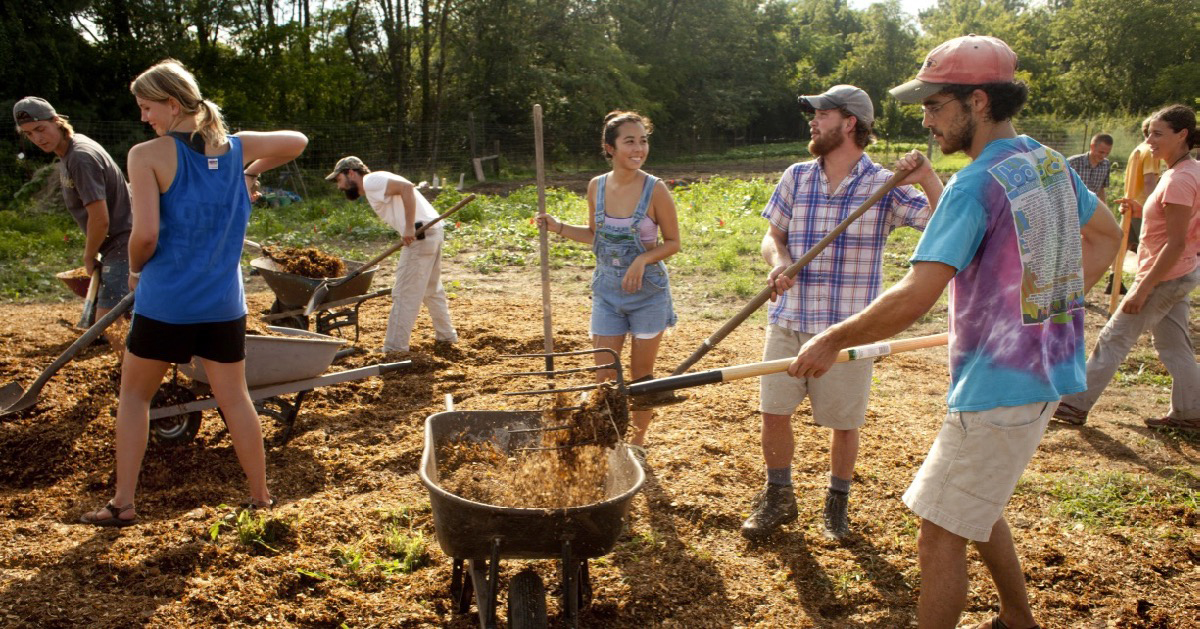 Sewanee students getting hands-on experience at the University Farm.