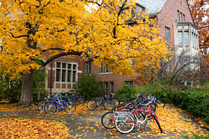 Bicycles in leaves on campus