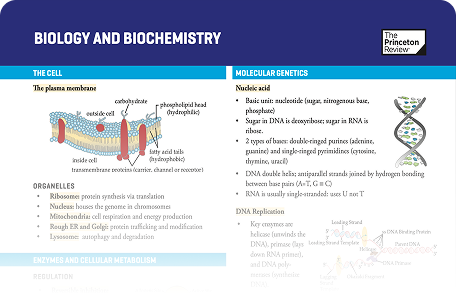 MCAT review guide img