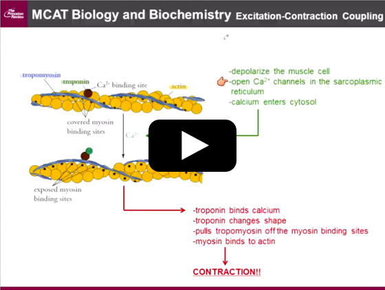 The Princeton Review MCAT Courses: Biology & Biochemistry