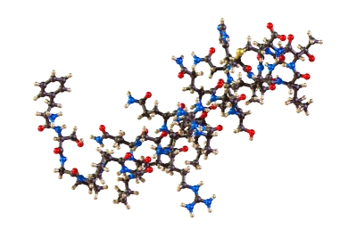 Molecule of Orexin